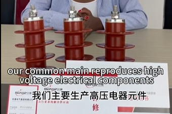 sunbet电气主要生产高压电器元件